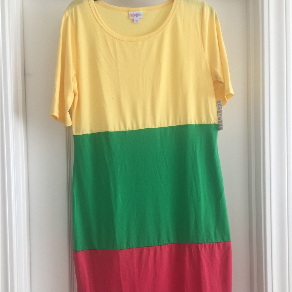 NWT Lularoe Julia dress